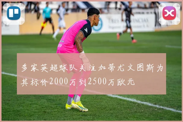 多家英超球队关注加蒂尤文图斯为其标价2000万到2500万欧元