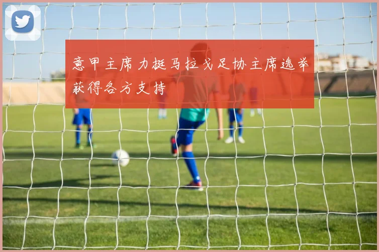 意甲主席力挺马拉戈足协主席选举获得各方支持